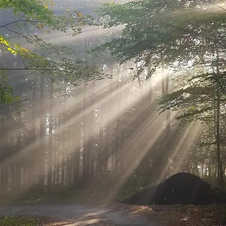 Na Folwarku Z Jacuzzi