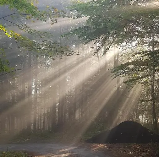 Na Folwarku Z Jacuzzi